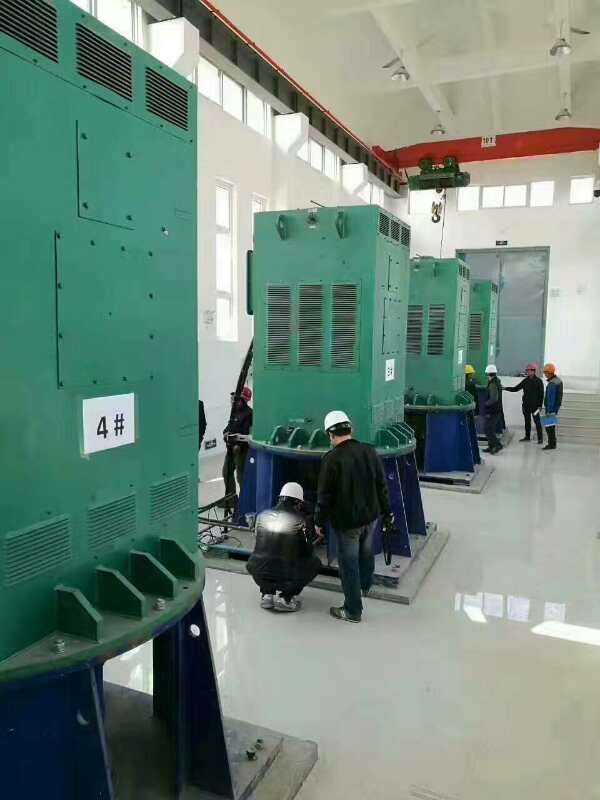 YRKK5604-8某污水处理厂使用我厂的立式高压电机安装现场