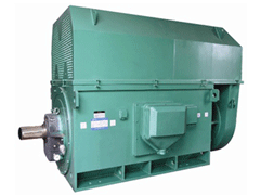 YRKK5604-8Y系列6KV高压电机